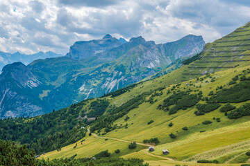 Naklejka na ściany i meble Mountains and grassland, Stubai Alps in summer, Tyrol, Austria.