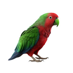 Obraz premium Eclectus Parrot PNG Cutout, Generative AI