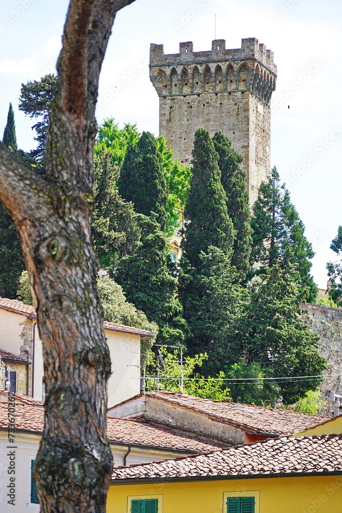 Wall mural Brunelleschi Tower in Vicopisano, Tuscany, Italy