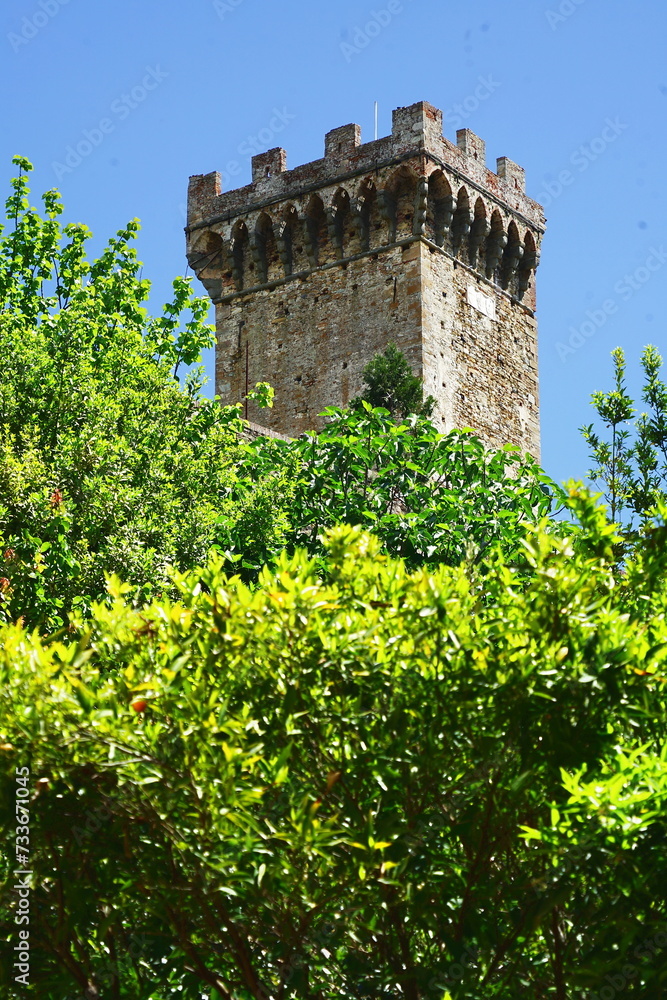 Wall mural Brunelleschi Tower in Vicopisano, Tuscany, Italy