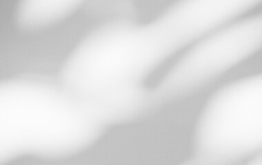 shadow Background Wall Light White Abstract Overlay Plant Backdorp Sunlight Mockup Minimal Gray Summer Black Photography Floor blur Cement Grey Minimal Product Beauty Cosmetic Presentation Template.