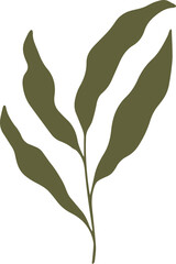 Green Nature Organic Leaf Graphic Element