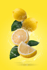 Fresh Yellow Lemon and Yellow Lemon slices with water splashing on a yellow background. Fruit minimal concept and copy space.