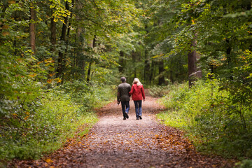 Couple takes a walk through the autumn forest - 733680672
