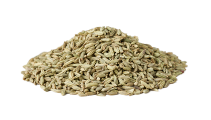 dry fennel seed sounf isolated on white background