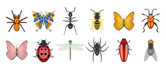 Insect set, butterfly, ant, dragonfly, wasp, ladybug, beetle, spider. Zoological icons, templates, decor elements, vector