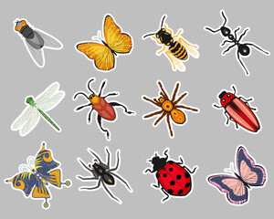 Insect sticker set, butterfly, ant, dragonfly, wasp, ladybug, beetle, spider. Zoological icons, templates, decor elements, vector
