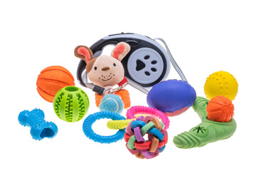 dog toys isolated