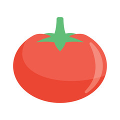 Tomato icons, minimalist vector illustration and transparent graphic element. Isolated on white background
