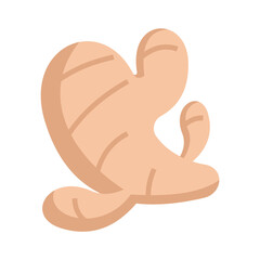 Ginger icons, minimalist vector illustration and transparent graphic element. Isolated on white background