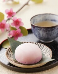 Japanese Mochi - Rice Cake or Mochigome Confectionary - Traditional Sweets from Japan - Presented in a Delightful and Tasteful Way