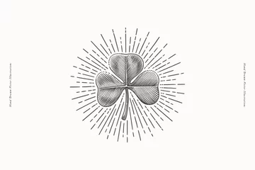 Fotobehang Trefoil clover in shining rays. St. Patrick's holiday element in engraving style. Vector illustration a light background. Three leaf leaf is a symbol of independence and freedom. © KOSIM