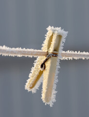 Naklejka premium ice crystals on clothes clip.