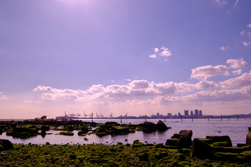 早春の海。兵庫県芦屋市の芦屋浜で撮影。