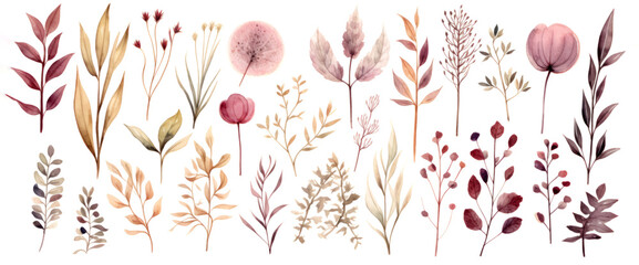 Elegant watercolor collection of botanical elements with flowers and leaves