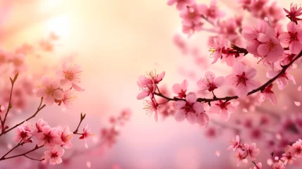 Fotobehang sakura branch closeup with space for text on pink background © katerinka