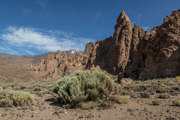 Landscape of Teide National Park , Tenerife