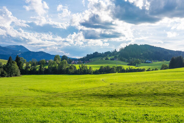 Green landscape in Allgovia, Germany