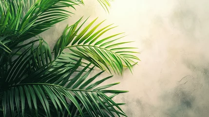 Poster Green leaves palm isolated on white background for montage product display or design © Zelma