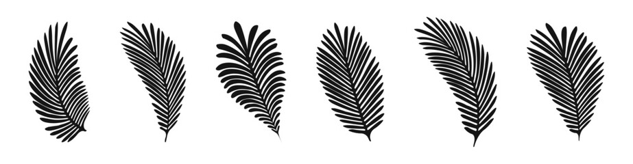 Tropical leaves set. Palm leaves. Palm tree leaf set. Tropical leaves silhouette