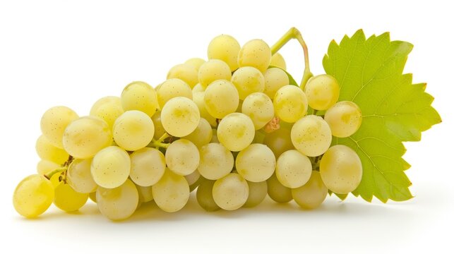 A bunch of fresh white grapes with green leaf on a white isolated background. Can be used as a banner for a website selling different varieties of grapes, wine or juice packaging.