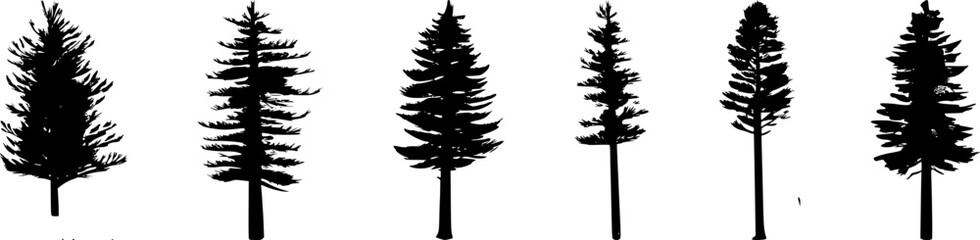 Set. Silhouette of pine trees.
