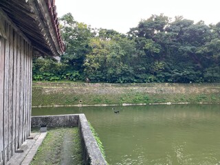 Fototapeta premium 龍潭、那覇