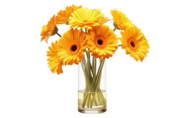 Yellow Daisies in a Vase Isolated On Transparent Background