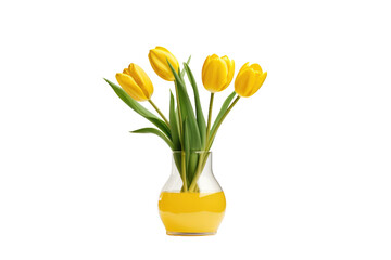 Yellow Tulip in Glass Isolated On Transparent Background