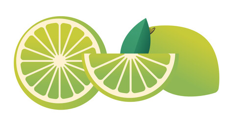 lemon citrus fruit with green leaf horizontal