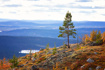 Autumn Landscapes overlooking the lake Kaskama. Panorama. Kola Peninsula, Arctic Circle, Russia - 733730401