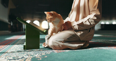 Muslim, person and cat in a mosque during praying, worship or comfort while reading on the floor....