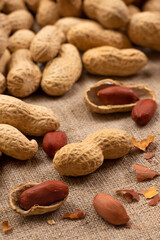 Dried peanuts close-up. Tasty groundnuts. Texture