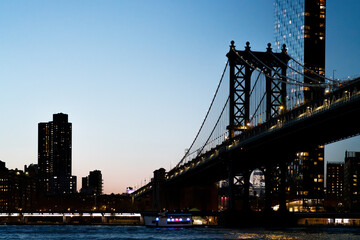 New York City skyline from Brooklyn - 733736847