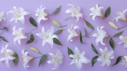 Fototapeta na wymiar lit pink and white lilies, with their graceful curves and subtle variations in color, create a romantic and ethereal atmosphere