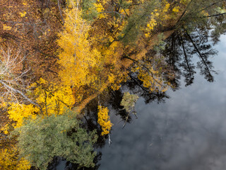 Autumn aerial drone look down view on river with colorful golden trees on riverbanks. Autumnal vibrant Siverskyi Donets River in Ukraine