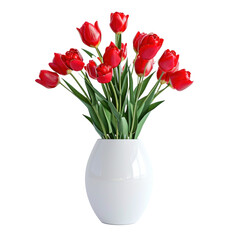 International woman's day concept. Spring home decorations with bouquet of red tulips in modern vase  on transparency background PNG