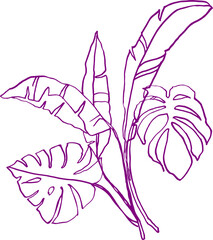 Fototapeta premium Bouquet (composition) of tropical botanical and plant elements (silhouettes, linear drawings) on a transparent background (PNG file)