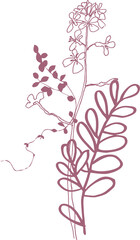 Bouquet (composition) of tropical botanical and plant elements (silhouettes, linear drawings) on a transparent background (PNG file)