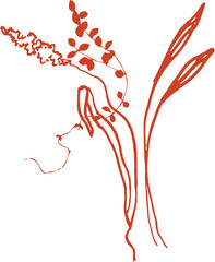 Bouquet (composition) of tropical botanical and plant elements (silhouettes, linear drawings) on a transparent background (PNG file)