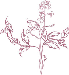 Fototapeta premium Bouquet (composition) of tropical botanical and plant elements (silhouettes, linear drawings) on a transparent background (PNG file)