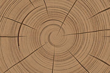 Close-Up of stylized Tree Trunk