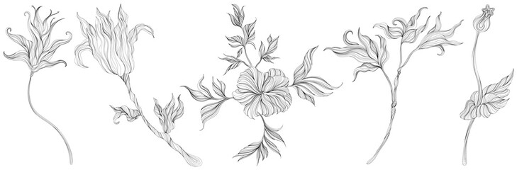 Abstract leaves and flower isolated on white set. Line ink hand drawn illustration collection.