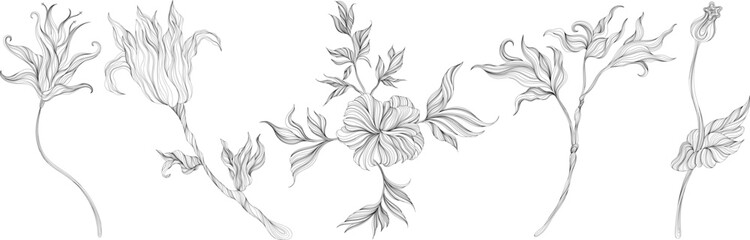 Abstract leaves and flower isolated on white set. Line ink hand drawn illustration collection.
