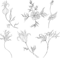 Abstract leaves and flower isolated on white set. Line ink hand drawn illustration collection.