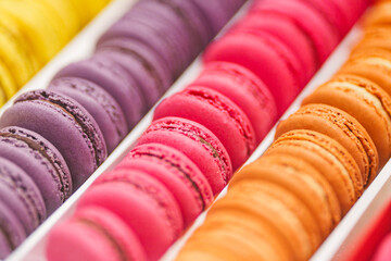 Various colorful macarons or French macaroons in a row, sweet meringue-based confection made with...