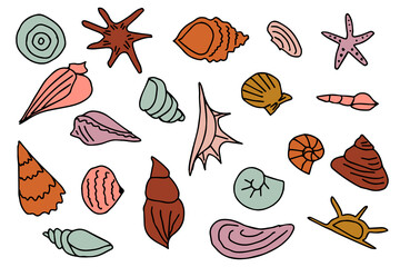Set of various groovy sea shells. Starfish, shellfish, underwater world