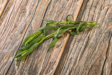 Green tarragon herb spice for cooking