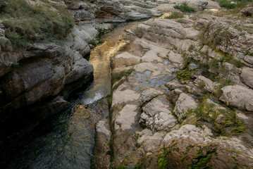 Raging mountain river in green valley. Wild nature