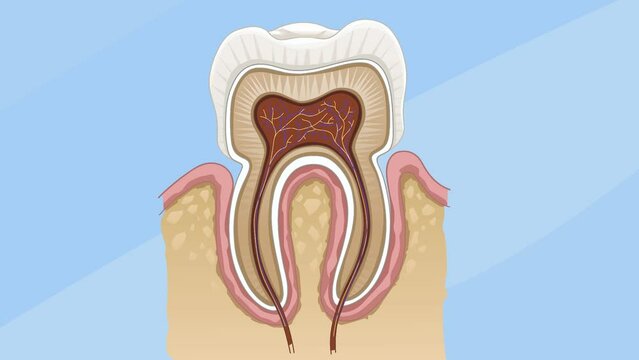 Unhealthy human tooth. Tooth sensitivity. Healthcare video.